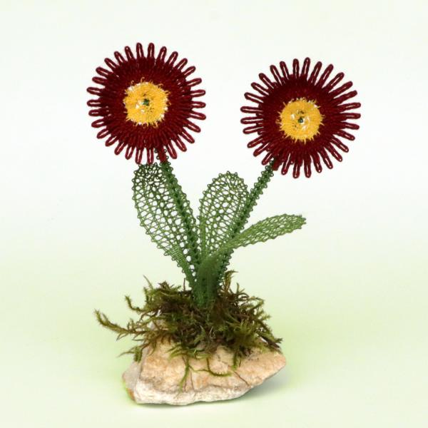 510 Klöppelbrief "Bellis - Tausendschön"   -   Blümchen in 3D-Optik